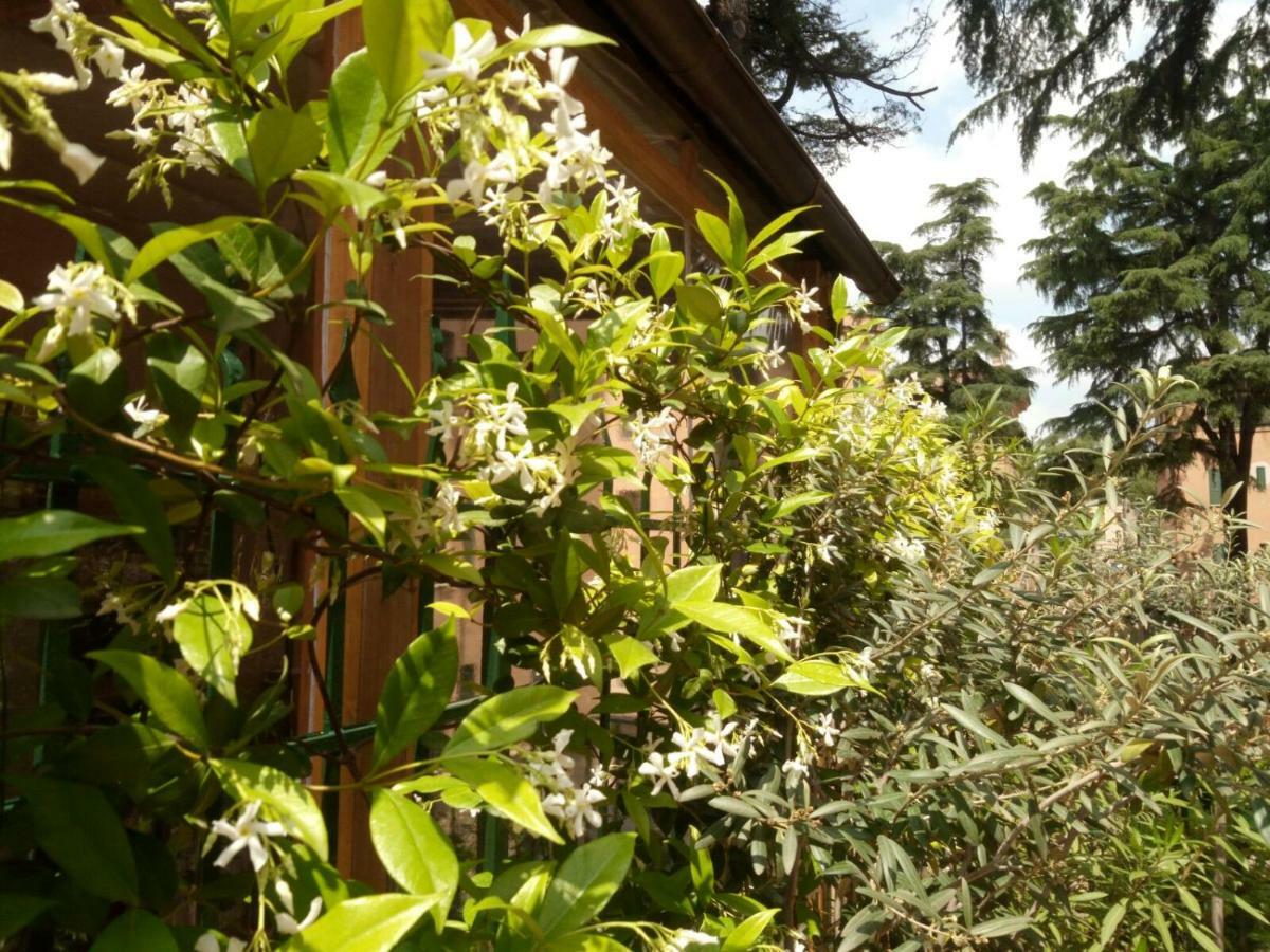 A Casa Di Edi Lägenhet *